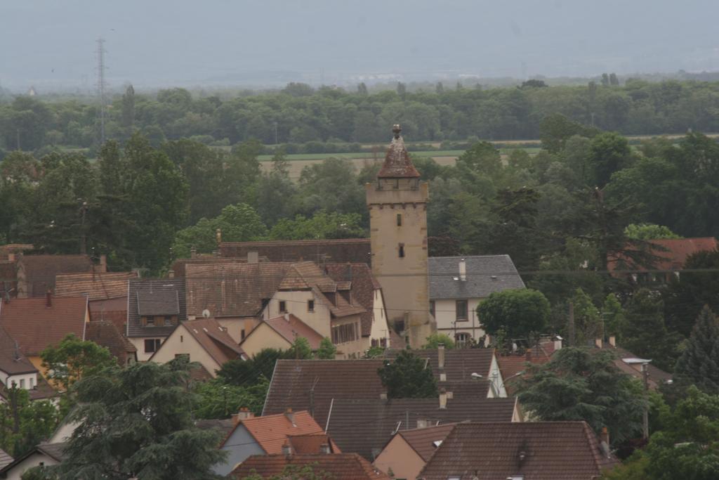 Gite Duplex Du Vignoble Alsace Rouffach Zewnętrze zdjęcie